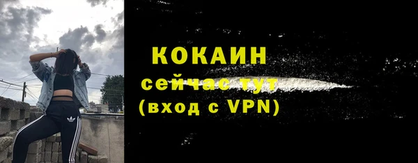 кокс Няндома