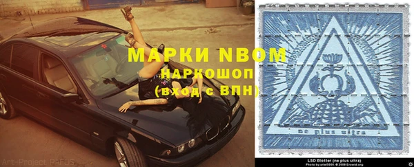 ГАЛЛЮЦИНОГЕННЫЕ ГРИБЫ Новозыбков