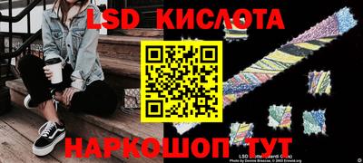 гидропоника Можга
