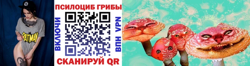 Галлюциногенные грибы Psilocybine cubensis  как найти закладки  мега зеркало  Павловский Посад 