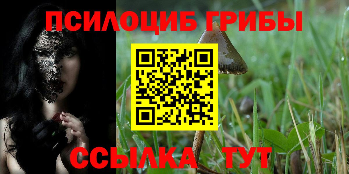 Псилоцибиновые грибы GOLDEN TEACHER Павловский Посад