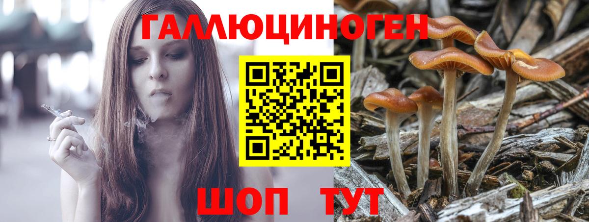 Павловский Посад  Псилоцибиновые грибы Psilocybe  Вход с VPN  Галлюциногенные грибы Cubensis 